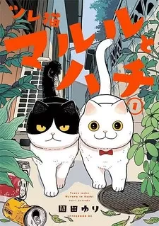 Cat Partners: Maruru And Hachi